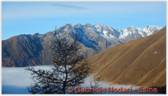 DSCN3174.jpg