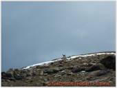 DSCN6560.jpg