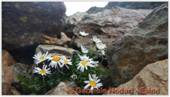 DSCN8017.jpg