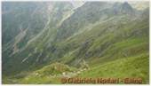 DSCN8131.jpg