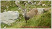 DSCN8144.jpg
