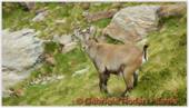 DSCN8147.jpg
