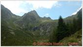 DSCN8148.jpg