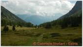 DSCN8154.jpg