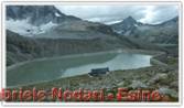 DSCN5438.jpg
