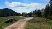 DSCN4934.jpg