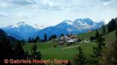 DSCN4940.jpg