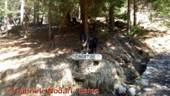 DSCN4631.jpg