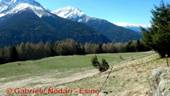 DSCN4639.jpg
