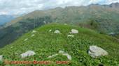 DSCN9828.jpg