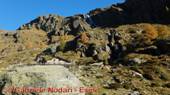 DSCN1170.jpg