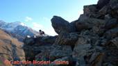 DSCN1217.jpg