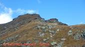 DSCN1224.jpg