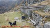 DSCN1294.jpg