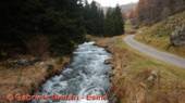 DSCN1305.jpg