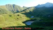 DSCN8857.jpg