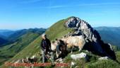 DSCN8871.jpg