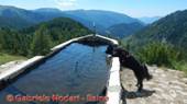 DSCN8972.jpg