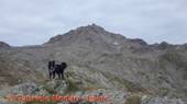 DSCN9704.jpg