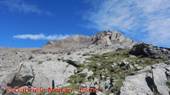 DSCN9715.jpg