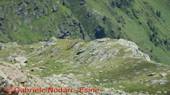 DSCN9771.jpg