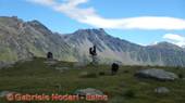 DSCN9787.jpg