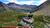 DSCN9793.jpg