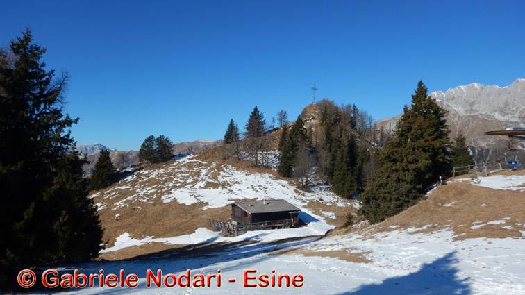DSCN7707.jpg