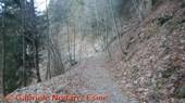 DSCN6031.jpg