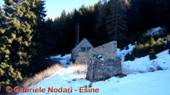 DSCN6049.jpg