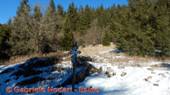 DSCN6052.jpg