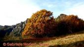 DSCN1318.jpg