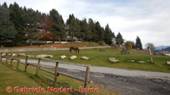 DSCN1332.jpg