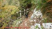 DSCN1358.jpg