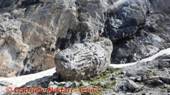 DSCN6558_small.jpg