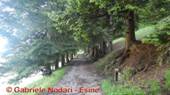 DSCN6516.jpg