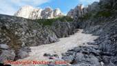 DSCN6534.jpg