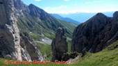 DSCN6590.jpg