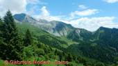 DSCN6625.jpg